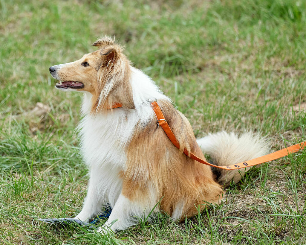 580A0200 | Peter Fridle Fotografie - Realisiert mit Pictrs.com