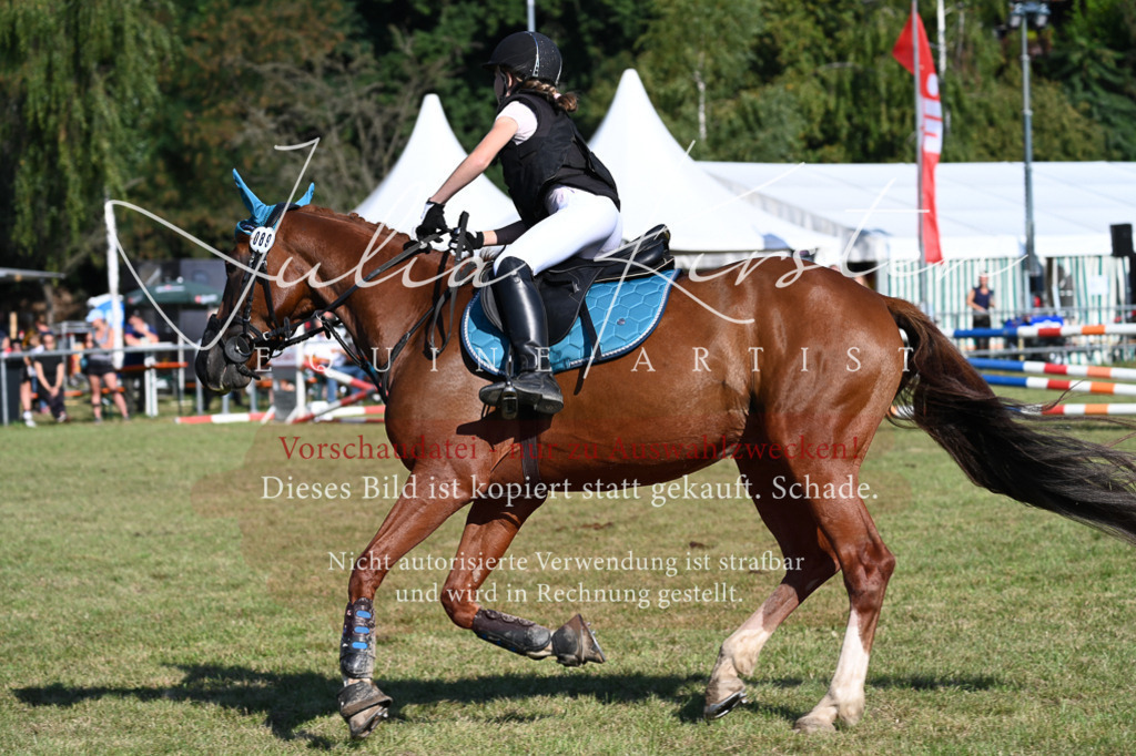 DSC_5326 | Pferde- und Turnierfotografie in Westsachsen. Pferdeportraits, Auftragszeichnungen und intuitive Kunst.