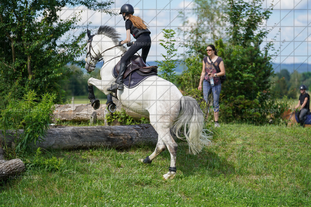 20240622-FAH08040 | Turnierfotografen Bayern, Reitsportbilder aus dem Geländekurs mit Felix Etzel auf dem Gut Waitzacker 2024