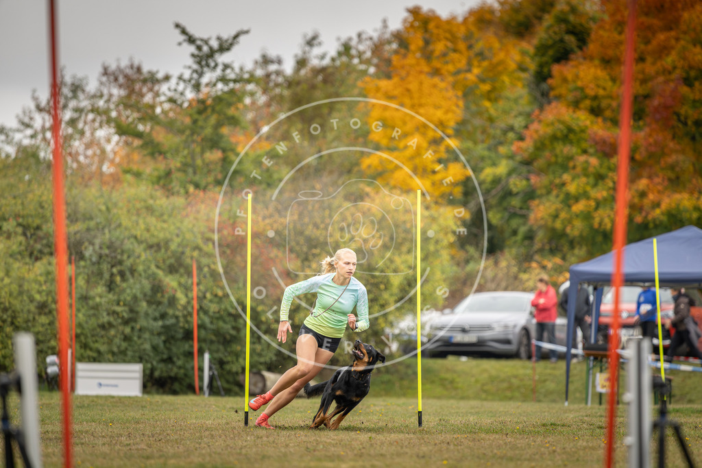 Pfotenfotografie_DV3A4138 | Hundefotografie, Tierfotograf, Pfotenfotografie, Fotoshooting Hund, Hunde Portrait, Hundesport, Hundeportraits, Heideshooting, Hunde, Sportfotograf, Hundefotograf, Turnierhundsport, THS,  - Realisiert mit Pictrs.com