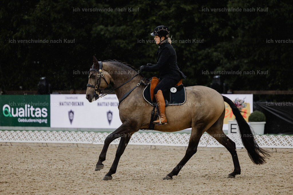 Katja7_FHC2025-24715 | working equitationturnier fotograf videograf stoibphotography marixx film working equitation deutschland reitsport turnierfotografie eventfotografie equestrian events