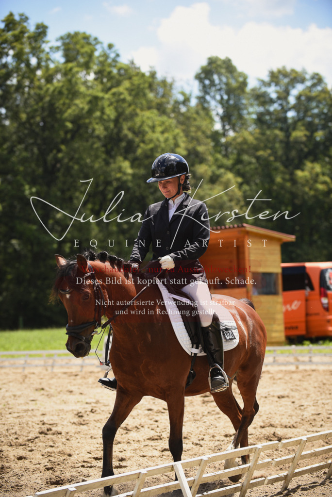 DSC_1534 | Pferde- und Turnierfotografie in Westsachsen. Pferdeportraits, Auftragszeichnungen und intuitive Kunst.