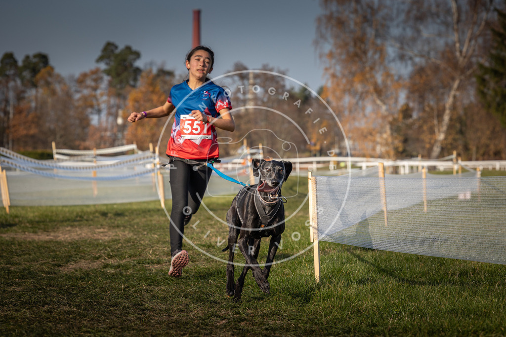 CaniXpix_0L8A9237 | Hundefotografie, Tierfotograf, Pfotenfotografie, Fotoshooting Hund, Hunde Portrait, Hundesport, Hundeportraits, Heideshooting, Hunde, Sportfotograf, Hundefotograf, Turnierhundsport, THS,  - Realisiert mit Pictrs.com