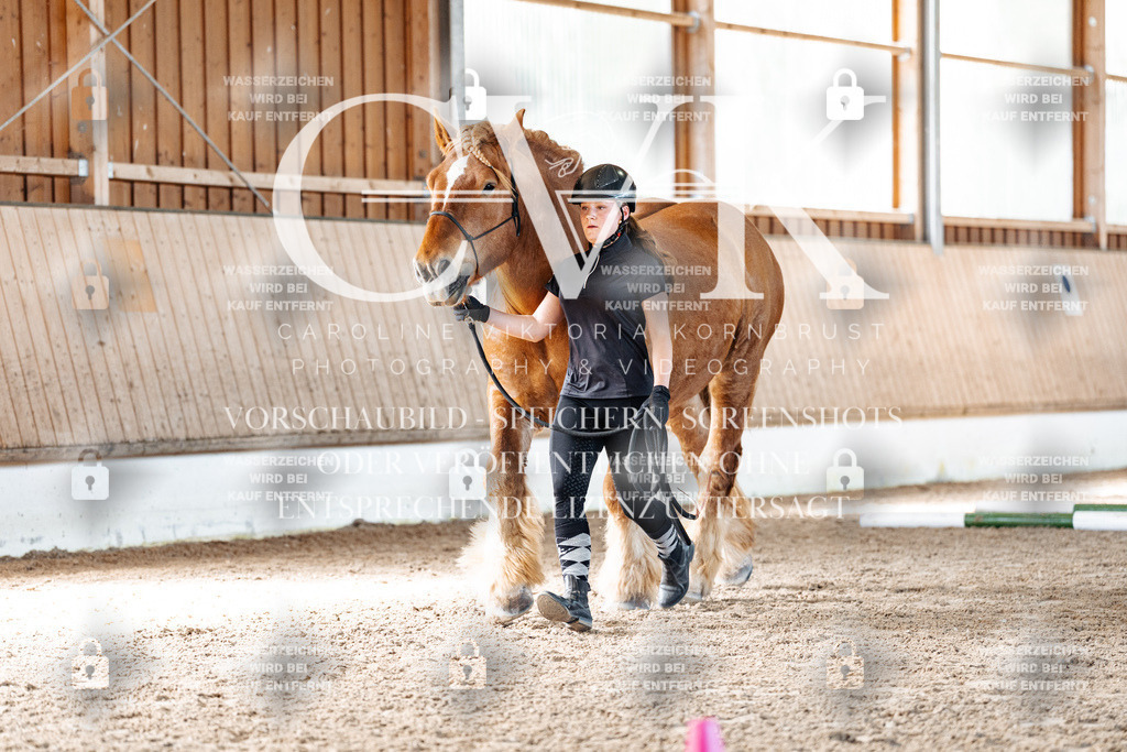 CK906331 | Turnierfotografie Pferdefotografie Trier Rheinland-Pfalz Pferdesport Reitsport Tierfotografie Sportfotografie Pferdevideo Pferdevideografie Equestrianvideography equestrianphotography  - Realisiert mit Pictrs.com