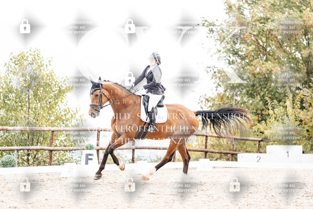 CK900833 | Turnierfotografie Pferdefotografie Trier Rheinland-Pfalz Pferdesport Reitsport Tierfotografie Sportfotografie Pferdevideo Pferdevideografie Equestrianvideography equestrianphotography  - Realisiert mit Pictrs.com