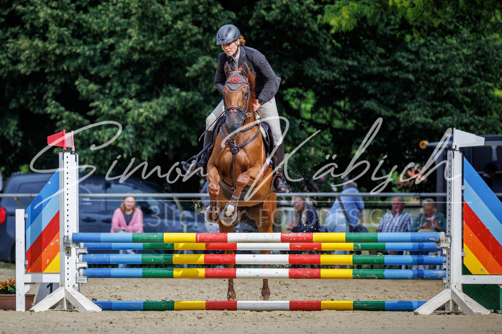 20260705-_3LI3822 | Tierfotografie Pferde, Hunde, Katzen, Haustiere.
Turnierfotografie Reitturniere, Reiten, Springreiten, Dressur in Hanau, dem Main-Kinzig-Kreis und dem Rhein-Main- Gebiet um Frankfurt