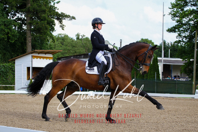 DKP41698 | Deine Turnierfotos vom Reitturnier online kaufen: Dressur, Springen & Siegerehrung. Professionelle Pferdefotografie aus dem Rheinland – als Download & Print.Alternative: Turnierfotograf für den Pferdesport: Finde deine Fotos von Dressur- und Springturnier