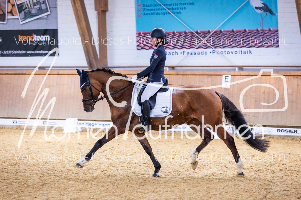 Sth-A-Dre-2St-220 | MomenTaufnahmen Pferdesportfotos
