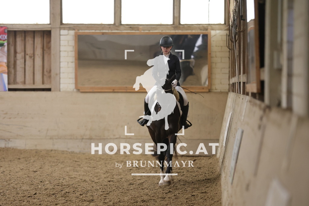 0P6A5833 | Willkommen bei Brunnmayr - Design & Fotografie – Ihrem Spezialisten für Reitturniere und Pferdeveranstaltungen in Oberösterreich, Salzburg und Bayern! Seit über 17 Jahren sind wir leidenschaftlich dabei.