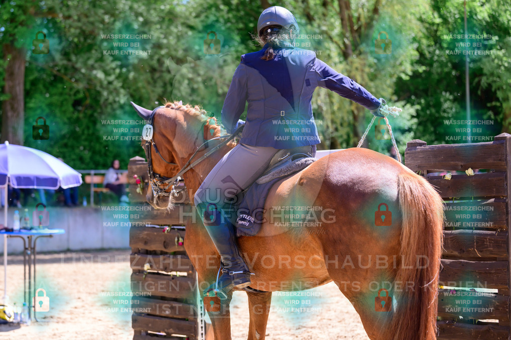 03052026-Giesenbach-04-Stiltrail-0507 | Fokus Hufschlag Fotografie - Realisiert mit Pictrs.com