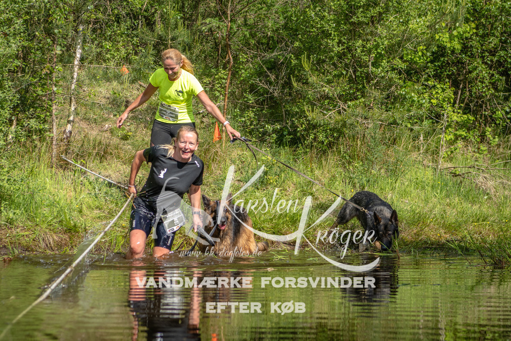 0952DKK9_ZZ93677 | kk-dogfotos