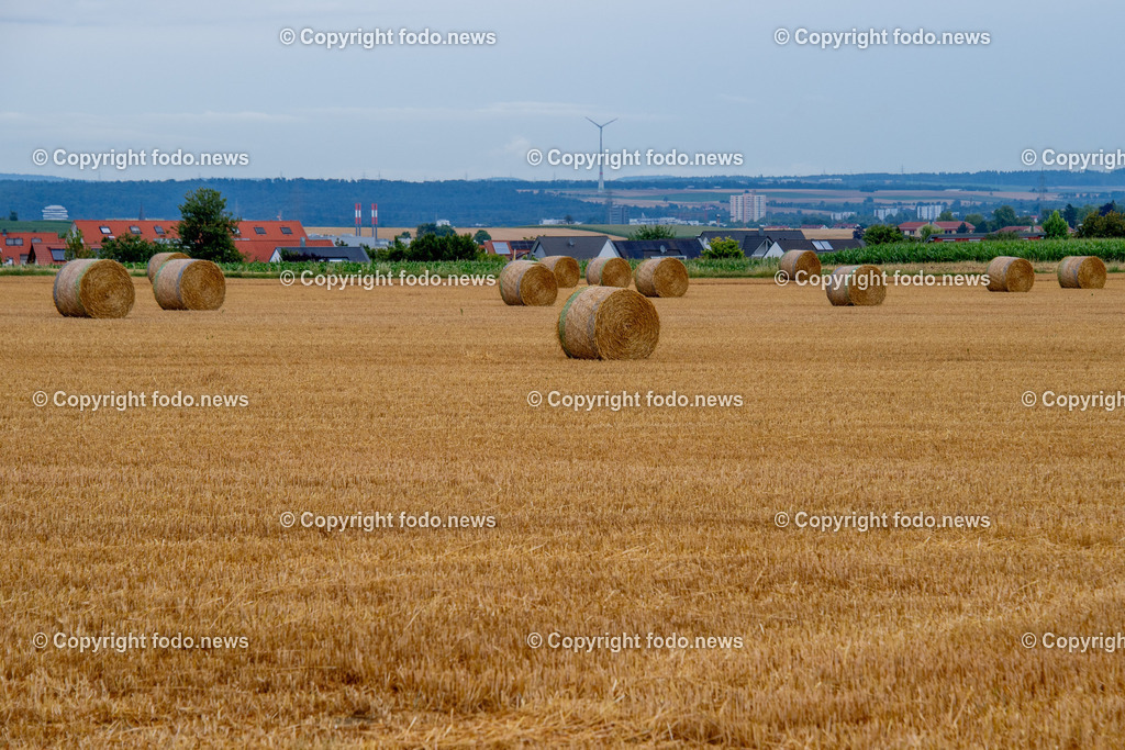 Landwirtschaft_ Feldarbeit_ 23.07.2025-2 | 23.07.2025, Linz, AUT, Feldarbeit, im Bild Themenbild, Heu, Stroh, Ballen, Heuballen, Strohballen, Rundballen, Feldarbeit, Landwirtschaft, Feld, Ernte, Arbeit, Bauer, Landwirt, Feature, Symbolbild