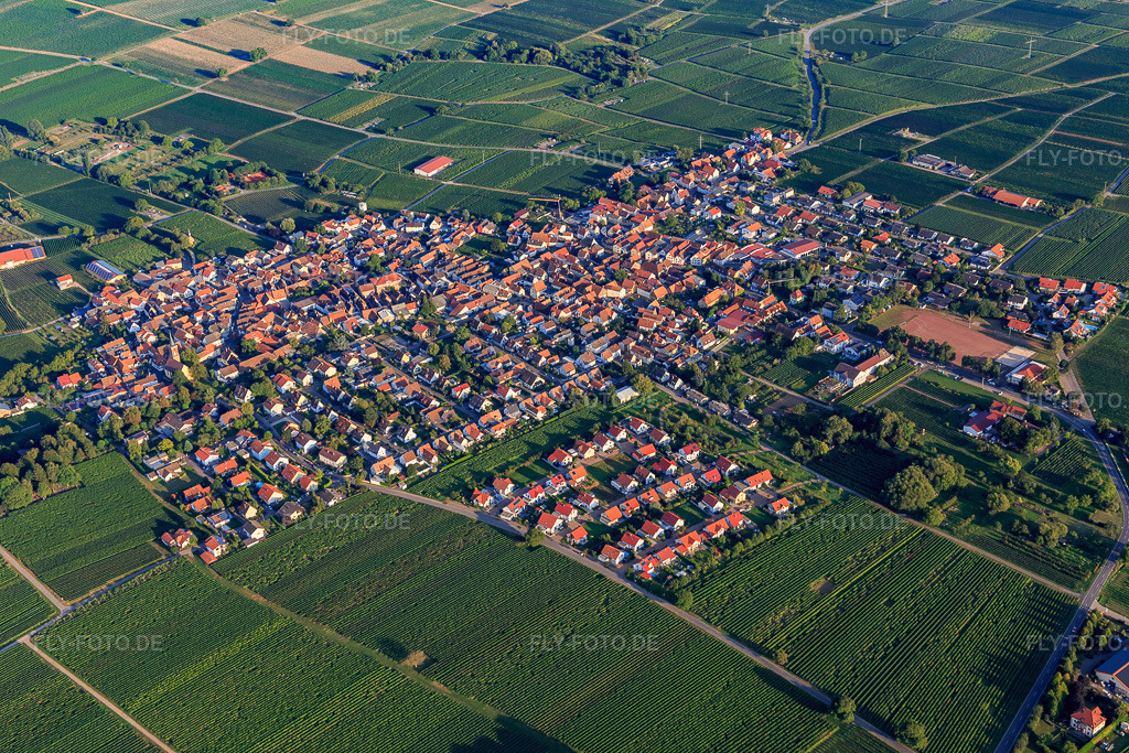 Luftbild: Ortsansicht von Nordwesten im Ortsteil Nußdorf in Landau im Bundesland Rheinland-Pfalz in Deutschland. Foto: IMG_103188.jpg vom 03.09.2017 durch Werner Riehm/FLY-FOTO.de