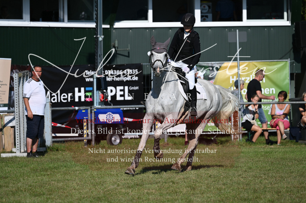 DSC_5085 | Pferde- und Turnierfotografie in Westsachsen. Pferdeportraits, Auftragszeichnungen und intuitive Kunst.