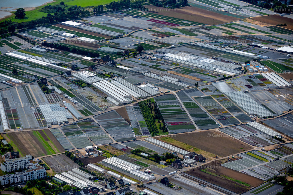 4049252 | Gartenbaubetriebe in Volmerswerth, Düsseldorf