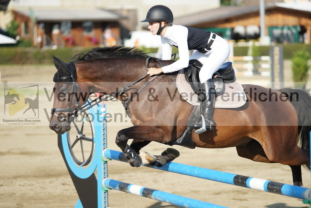 DSC00652 | equestrian-live-com