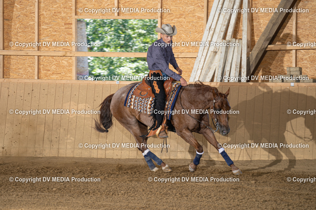 DSC00151 | dv-media-shop - Realisiert mit Pictrs.com