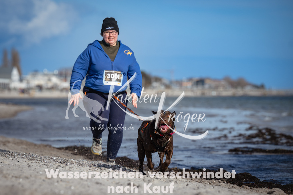 1334_ZZ91974 | kk-dogfotos