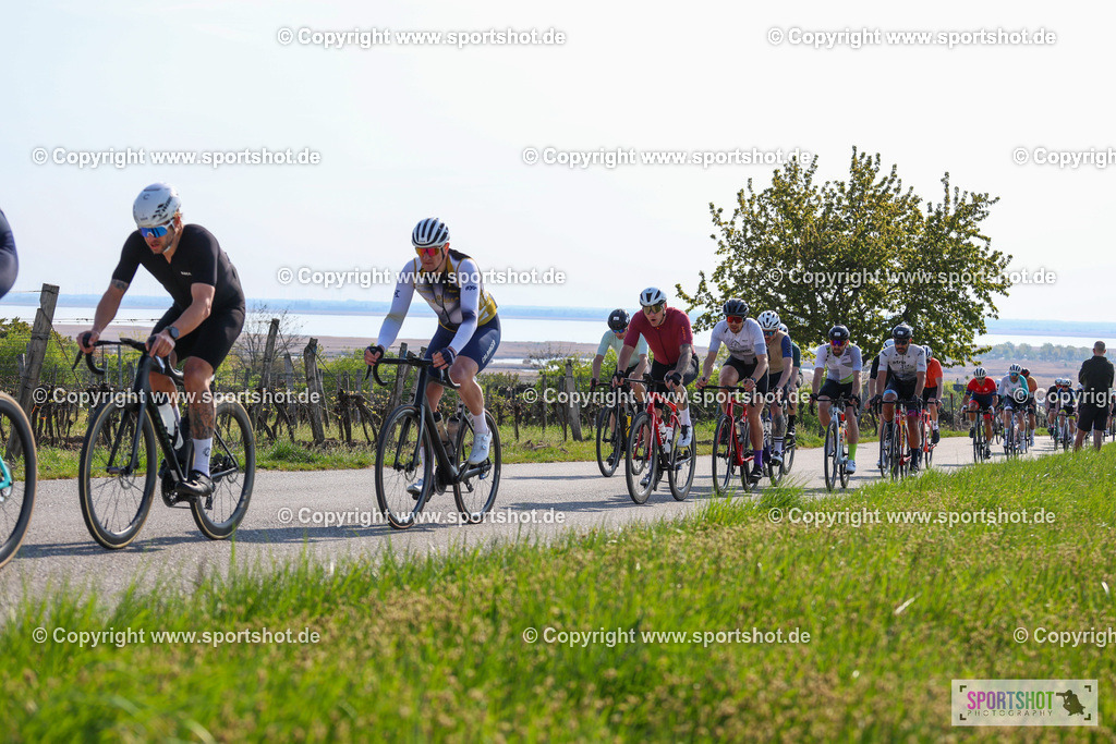 IMG_0959 | @sportshot_your_pictrs #yourpictures#roadtowm2029 #nrm #neusiedlerseeradmarathon #neusiedlersee #neusiedlerseetourismus #burgenland #mörbisch #nrm26 #burgenlandtourismus #voglundco #poweredbyburgenlandtourismus #radsport #rad #marathon #ucigranfondo #visitburgenland #ucigranfondoworldseries