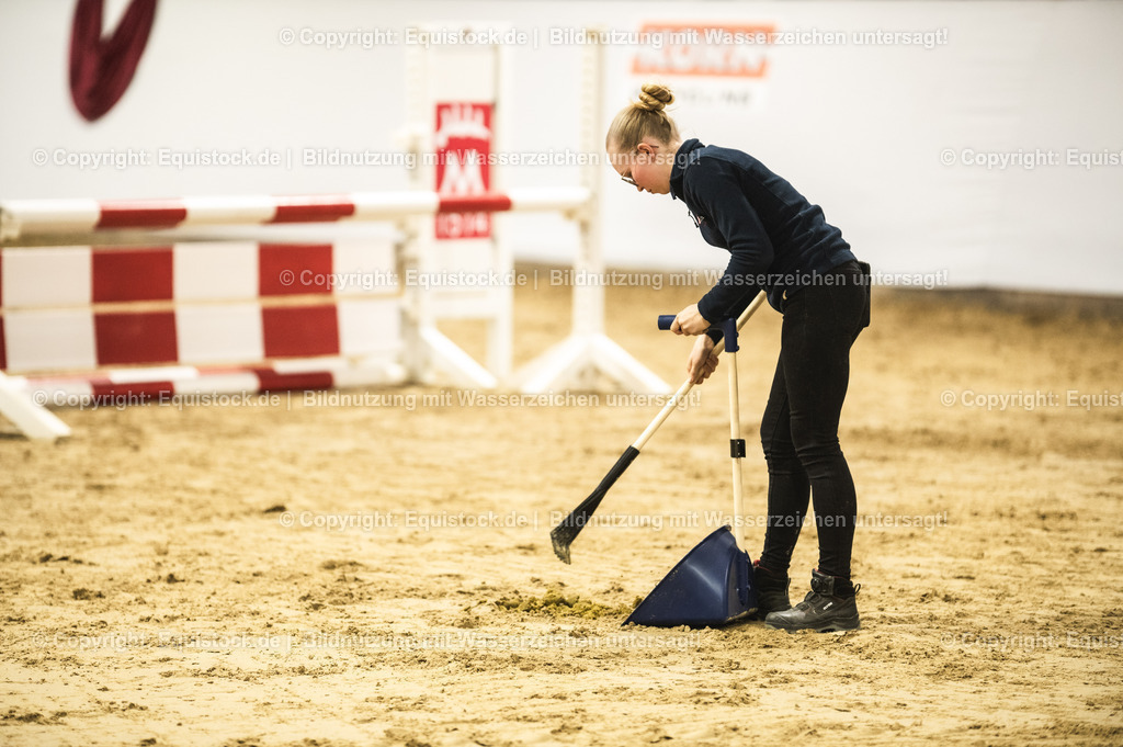 20240302_Hengstvorstellung_Marbach_TOMsPiC_0271 | equistock