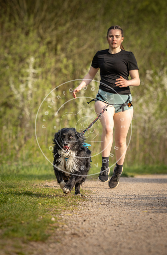 Pfotenfotografie_DV3A4648 | Hundefotografie, Tierfotograf, Pfotenfotografie, Fotoshooting Hund, Hunde Portrait, Hundesport, Hundeportraits, Heideshooting, Hunde, Sportfotograf, Hundefotograf, Turnierhundsport, THS,  - Realisiert mit Pictrs.com