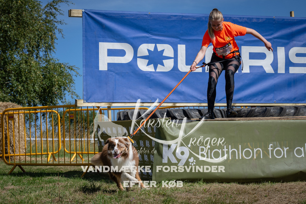 1159_ZZ93212 | kk-dogfotos