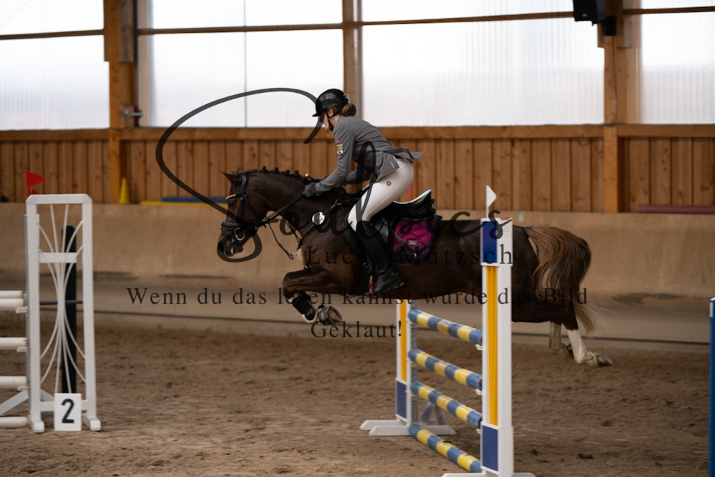 A7V00916 | Pferdefotograf