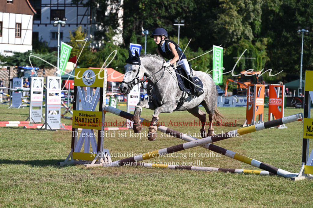 DSC_5057 | Pferde- und Turnierfotografie in Westsachsen. Pferdeportraits, Auftragszeichnungen und intuitive Kunst.