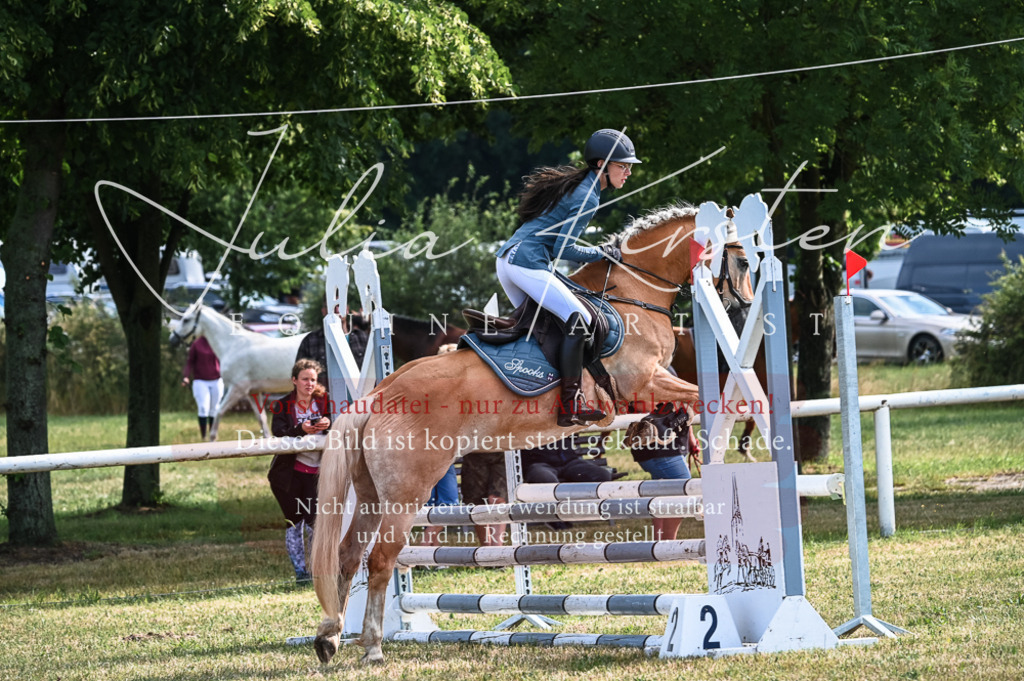 DSC_7926 | Pferde- und Turnierfotografie in Westsachsen. Pferdeportraits, Auftragszeichnungen und intuitive Kunst.
