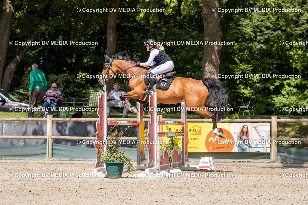 Hessische Tag 1-596 | dv-media-shop - Realisiert mit Pictrs.com