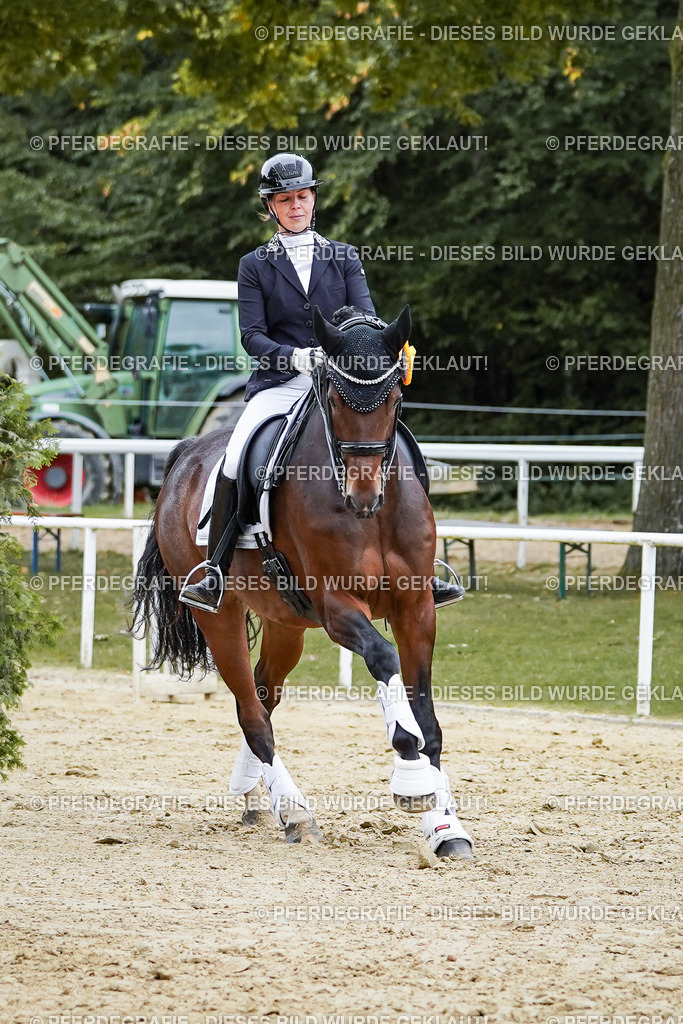 DSC02636 | Pferdegrafie