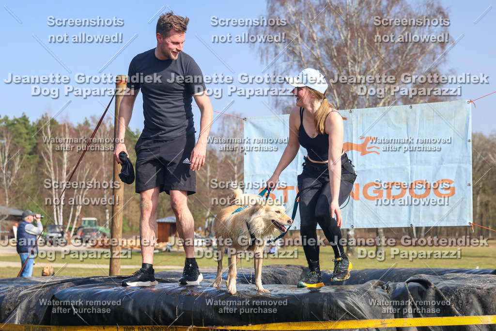 Dog Paparazzi - Strongdog North Mrz26-2907 | Dog Paparazzi Jeanette Grottendiek Fotografie & Videografie - Realisiert mit Pictrs.com