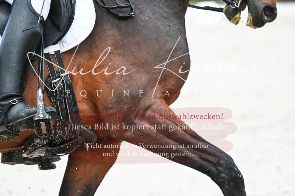 DSC_4531 | Pferde- und Turnierfotografie in Westsachsen. Pferdeportraits, Auftragszeichnungen und intuitive Kunst.