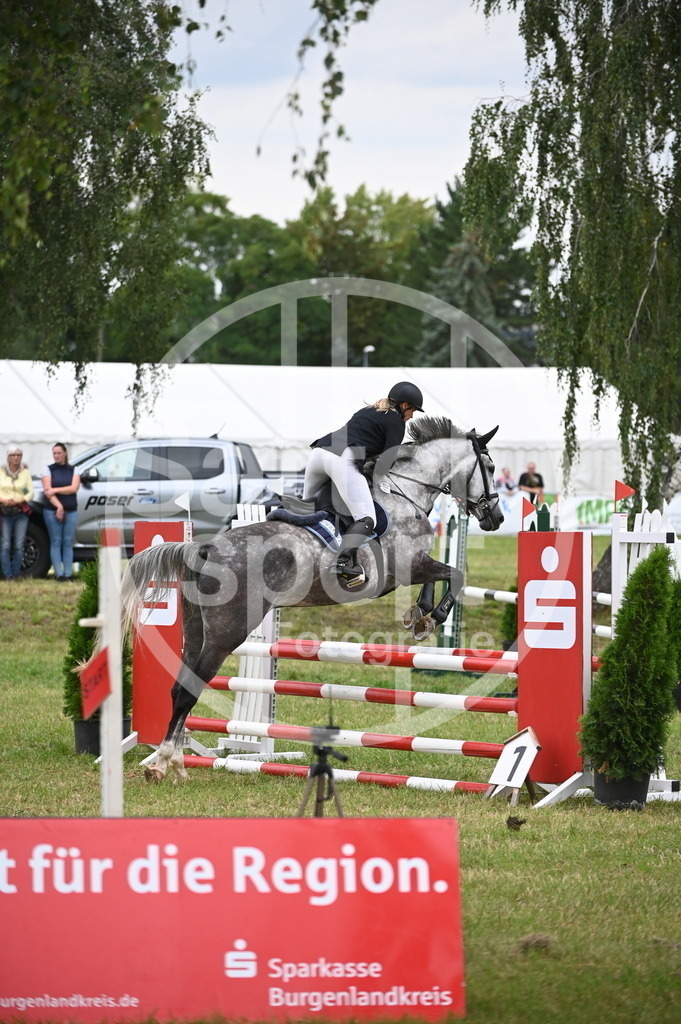 DSC_2327 | sattelsport - Realisiert mit Pictrs.com