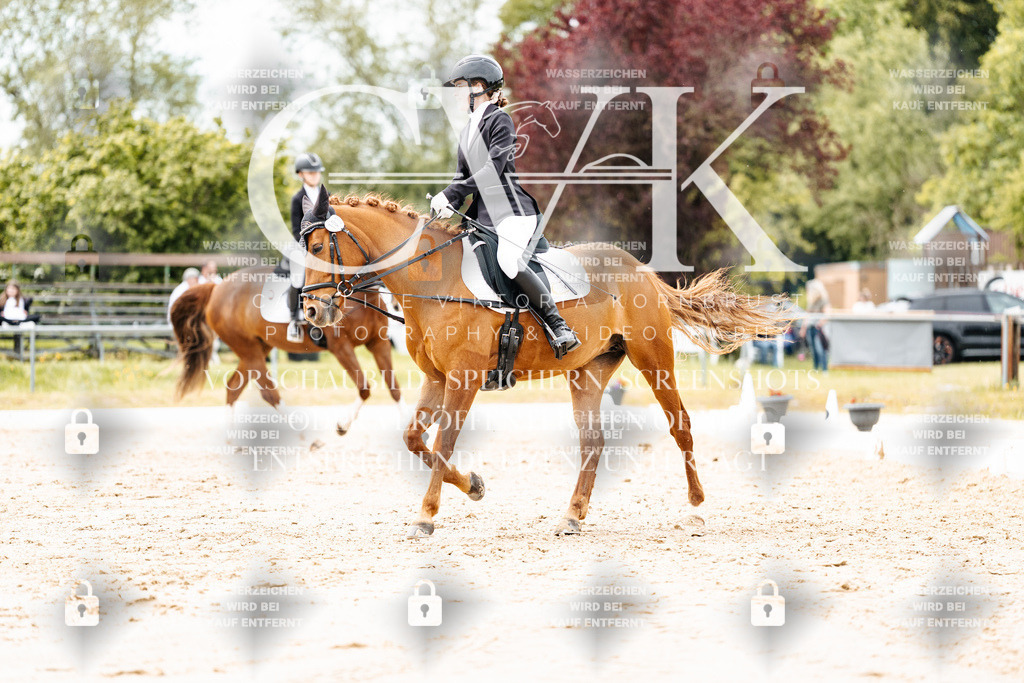 CK903013 | Turnierfotografie Pferdefotografie Trier Rheinland-Pfalz Pferdesport Reitsport Tierfotografie Sportfotografie Pferdevideo Pferdevideografie Equestrianvideography equestrianphotography  - Realisiert mit Pictrs.com