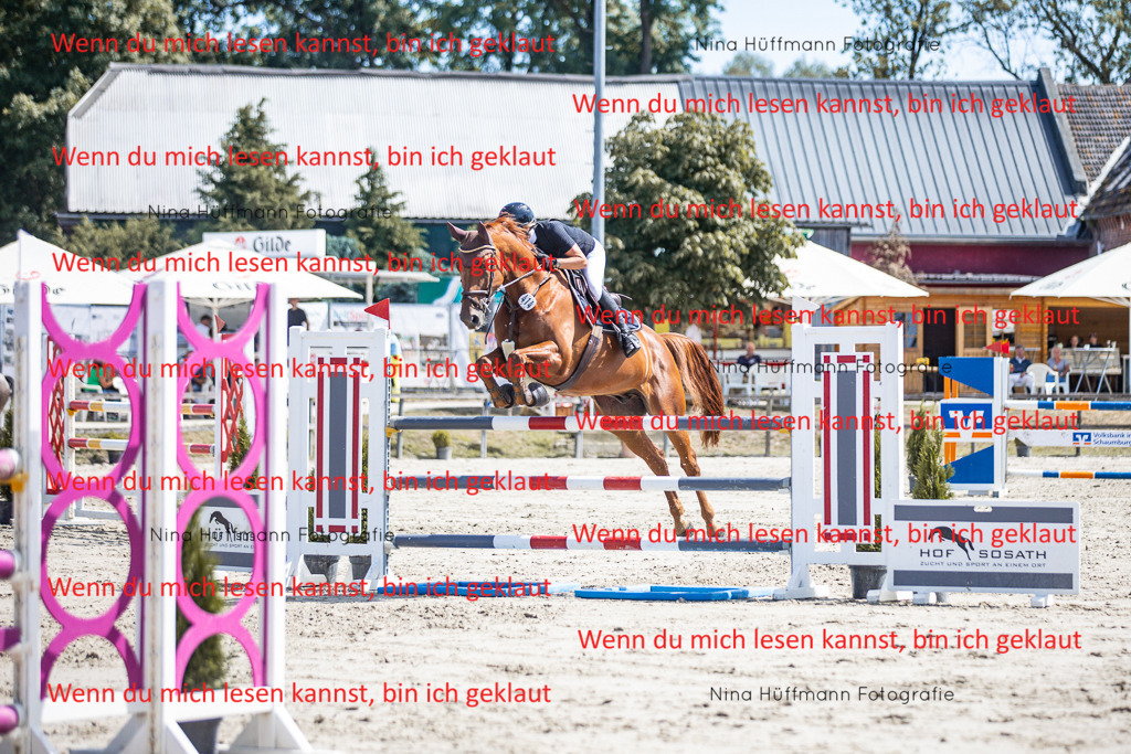 BK1A6511 | Turnierbilder Turnierfotos Nina Hüffmann Turnierfotografie Pferdefotografie Tierzeichnung Haustierzeichnung Pferdezeichnung Hundezeichnung Videograf  - Realisiert mit Pictrs.com