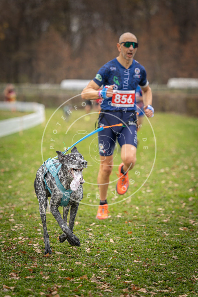 CaniXpix_DV3A6640 | Hundefotografie, Tierfotograf, Pfotenfotografie, Fotoshooting Hund, Hunde Portrait, Hundesport, Hundeportraits, Heideshooting, Hunde, Sportfotograf, Hundefotograf, Turnierhundsport, THS,  - Realisiert mit Pictrs.com