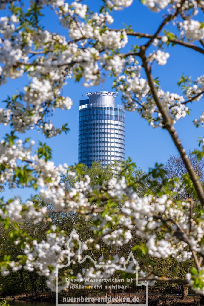 Business Tower im Blütenrahmen | Frühling am Wöhrder See in Nürnberg. Beim Blick durch den Blütenrahmen sieht man den Business-Tower Nürnberg.  - Realisiert mit Pictrs.com