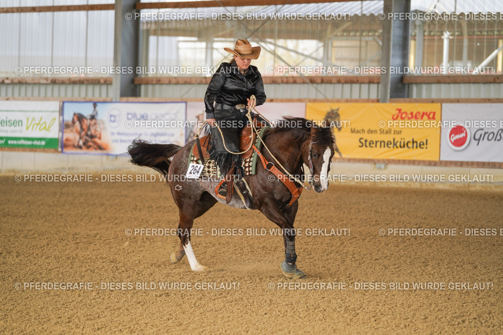 DSC02385 | Pferdegrafie