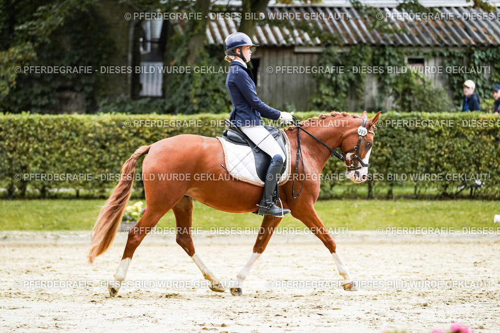 DSC07483 | Pferdegrafie