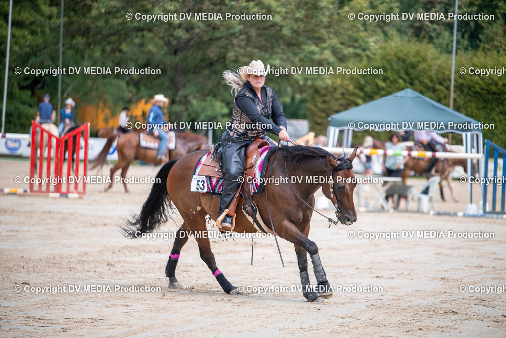 ZS3_5328 | dv-media-shop - Realisiert mit Pictrs.com