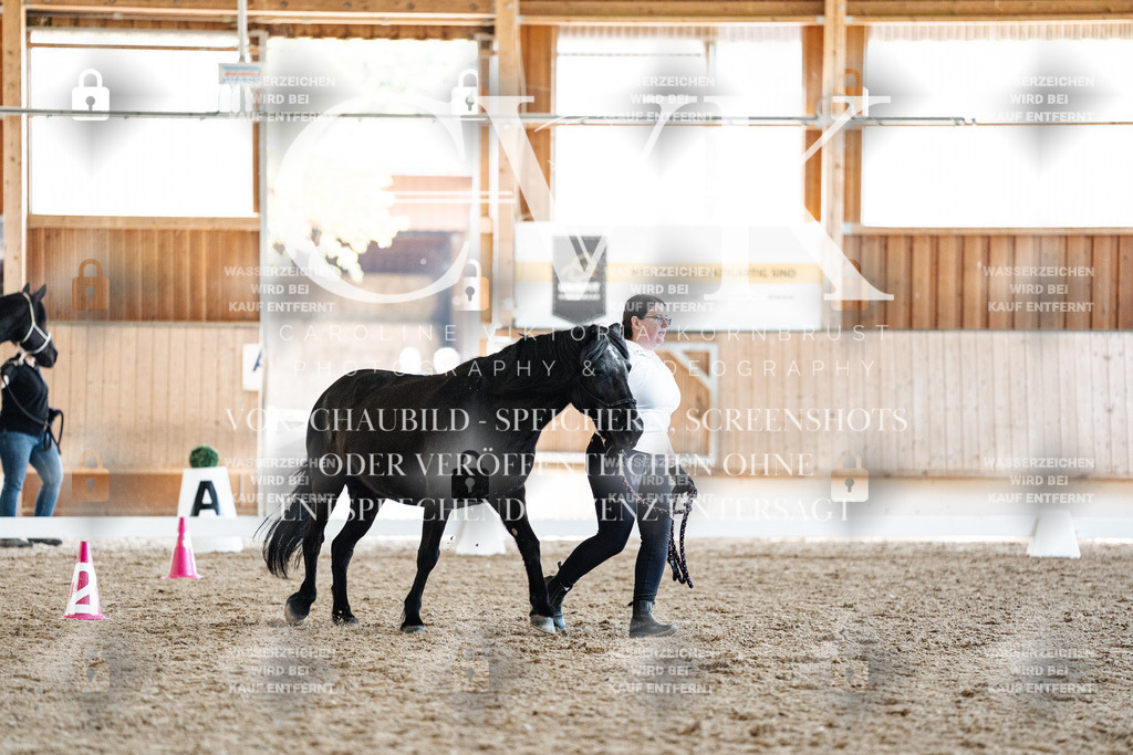 CK907482 | Turnierfotografie Pferdefotografie Trier Rheinland-Pfalz Pferdesport Reitsport Tierfotografie Sportfotografie Pferdevideo Pferdevideografie Equestrianvideography equestrianphotography  - Realized with Pictrs.com