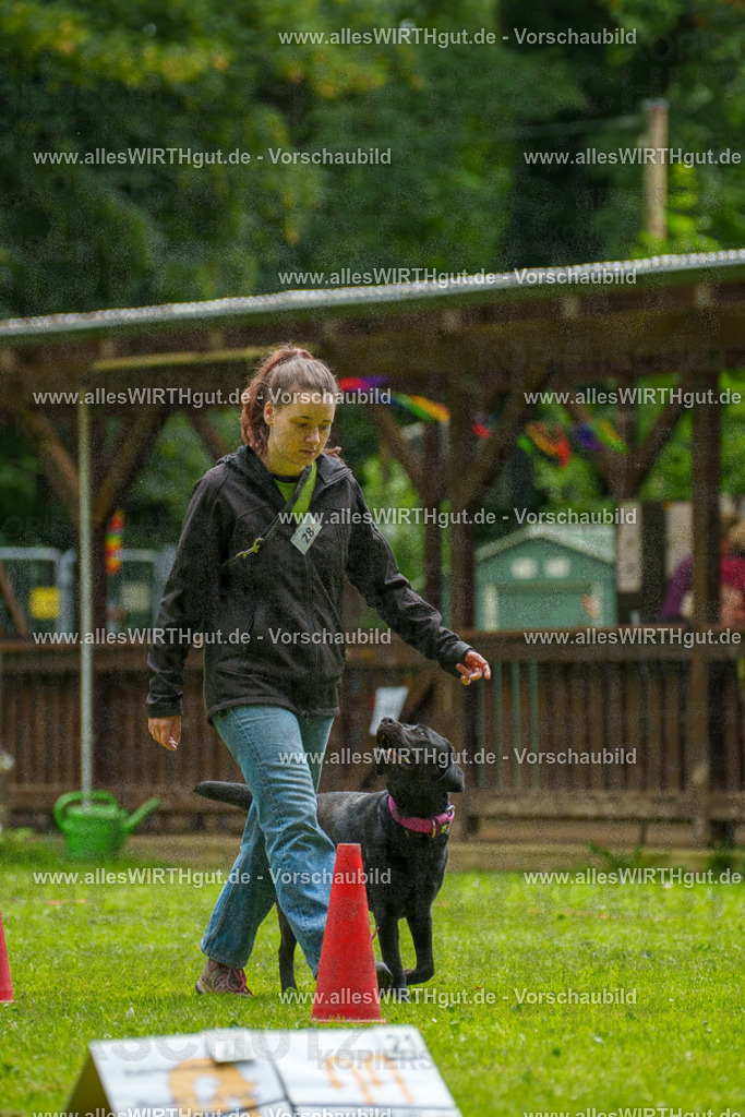 @allesWIRTHgut_Tierfotografie - www.allesWIRTHgut.de - 101634-7R508270 | Professionelle Tierfotografie in Mönchengladbach von Daniel Wirth (allesWIRTHgut). Liebevolle & natürliche Bilder von Hunden & Katzen für unvergessliche Erinnerungen.