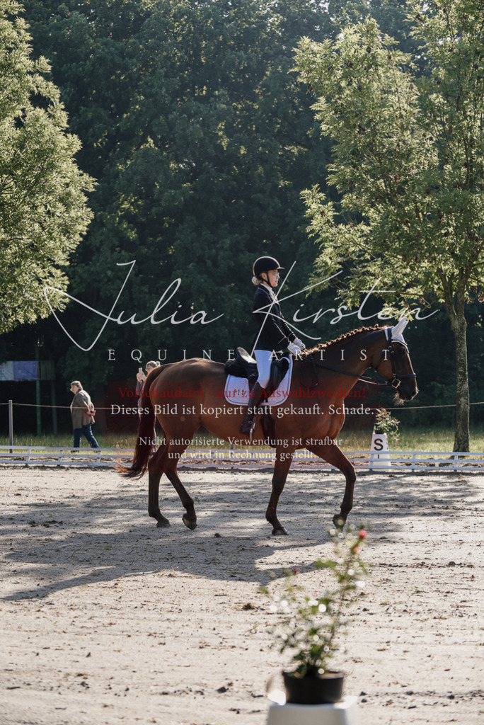 DSC_7686 | Pferde- und Turnierfotografie in Westsachsen. Pferdeportraits, Auftragszeichnungen und intuitive Kunst.