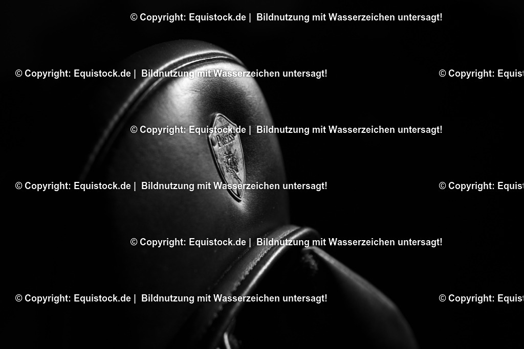 20190121_Sattlerei_Preiss_0003 | equistock