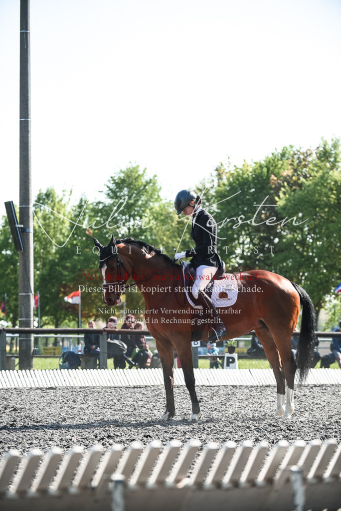 DSC_8691 | Pferde- und Turnierfotografie in Westsachsen. Pferdeportraits, Auftragszeichnungen und intuitive Kunst.