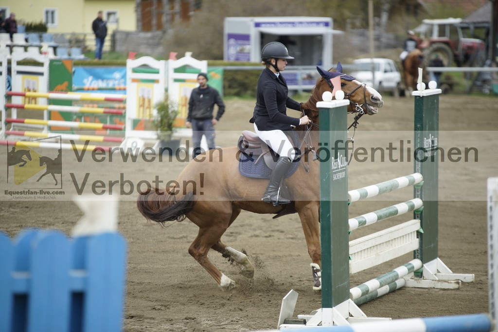 _DSC7305 | equestrian-live-com