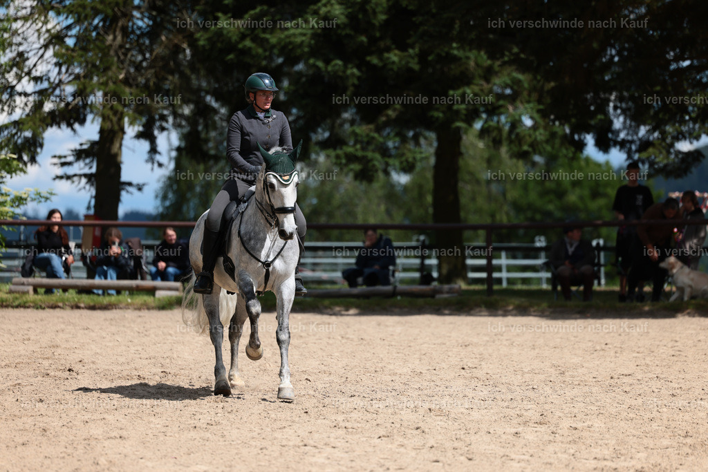 KlasseL_Stoibphotography_CAM22857.JPG | working equitationturnier fotograf videograf stoibphotography marixx film working equitation deutschland reitsport turnierfotografie eventfotografie equestrian events