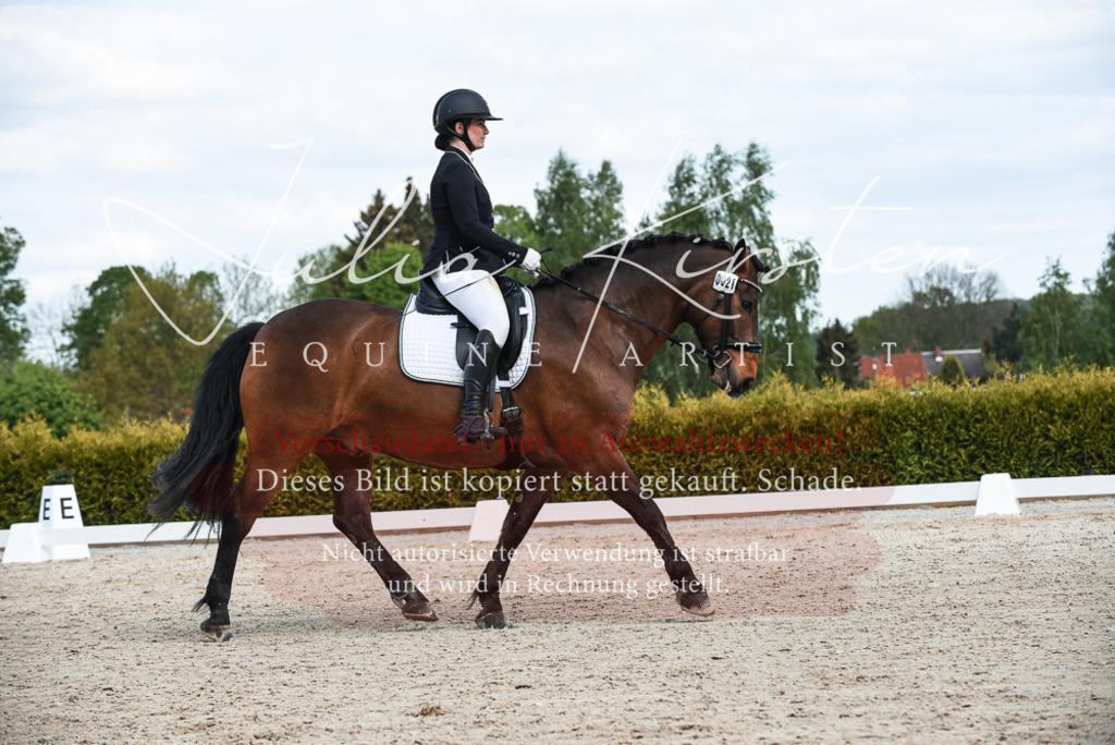 20230518_JK-Röhrsdorf-12-0481 | Pferde- und Turnierfotografie in Westsachsen. Pferdeportraits, Auftragszeichnungen und intuitive Kunst.