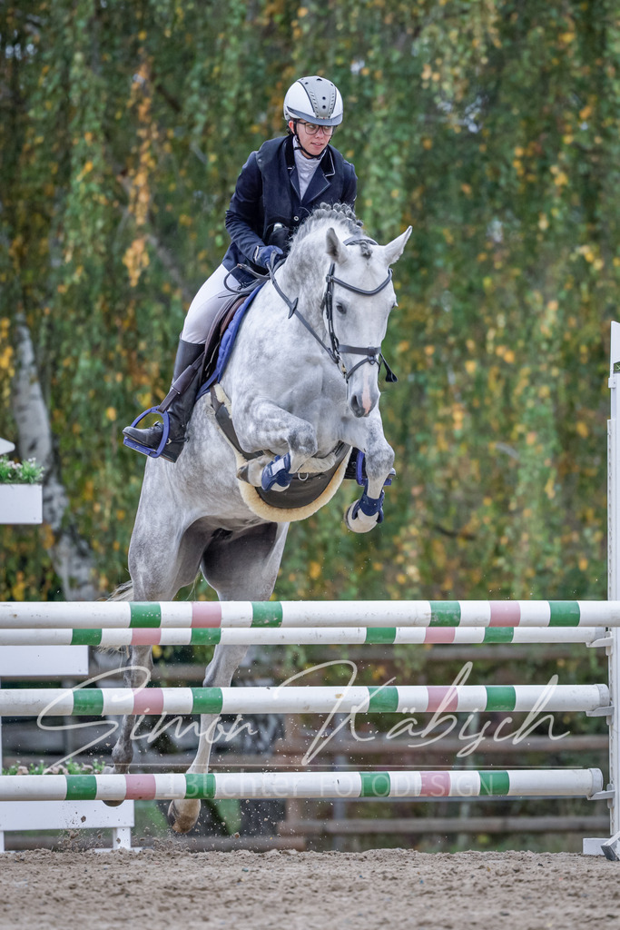 20251012-_3LI4632 | Tierfotografie Pferde, Hunde, Katzen, Haustiere.
Turnierfotografie Reitturniere, Reiten, Springreiten, Dressur in Hanau, dem Main-Kinzig-Kreis und dem Rhein-Main- Gebiet um Frankfurt